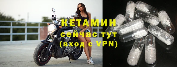шишки Армянск