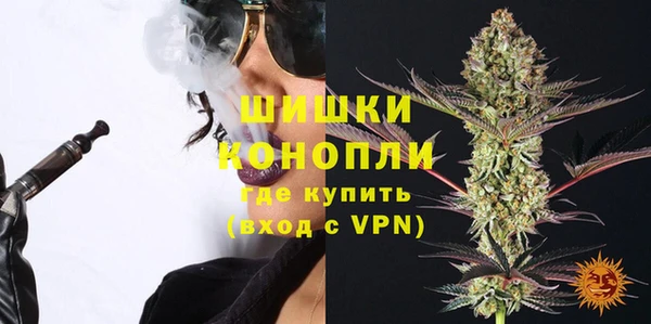 spice Аркадак